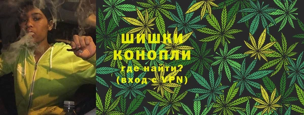 молекула духа Переславль-Залесский