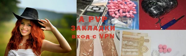 молекула духа Переславль-Залесский