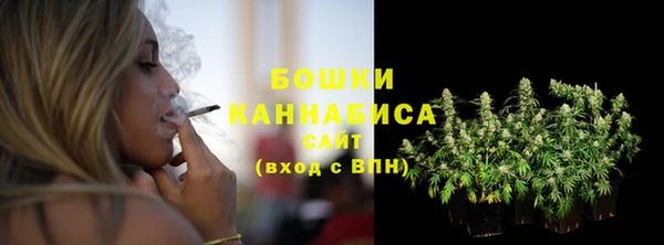 прущие крисы Пересвет