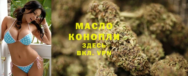 прущие крисы Пересвет