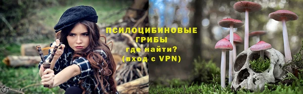молекула духа Переславль-Залесский