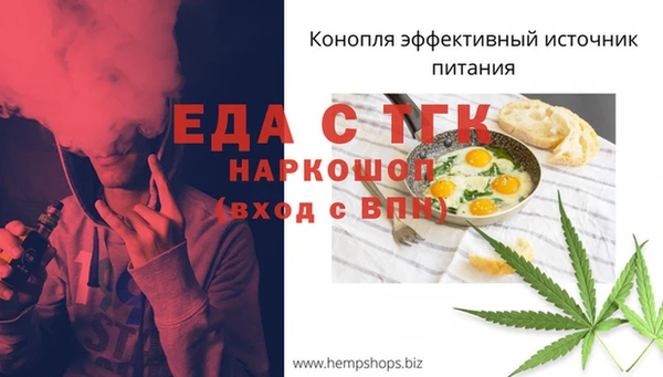 молекула духа Переславль-Залесский
