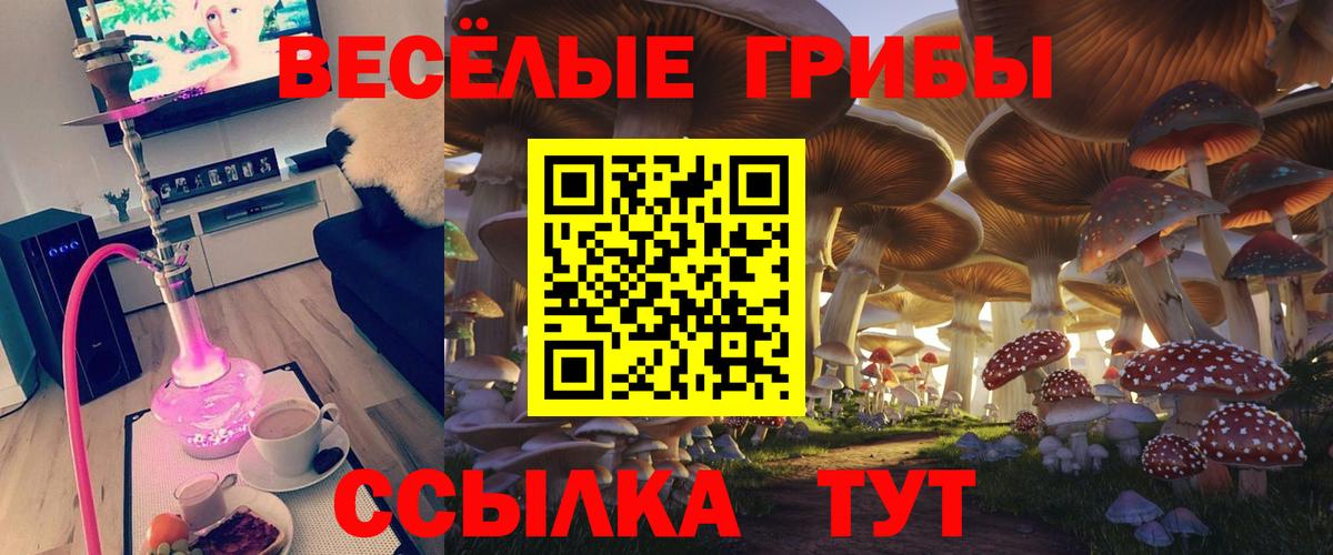 Северобайкальск  где продают   Псилоцибиновые грибы прущие грибы  Вход с VPN  Псилоцибиновые грибы мицелий 