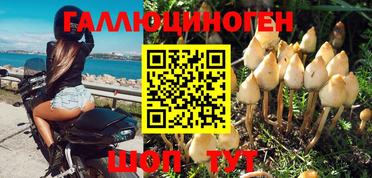 Галлюциногенные грибы MAGIC MUSHROOMS  Северобайкальск 